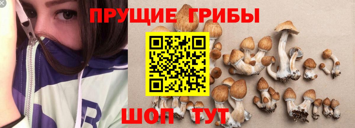 Галлюциногенные грибы мухоморы  Вход с VPN  Шахты 
